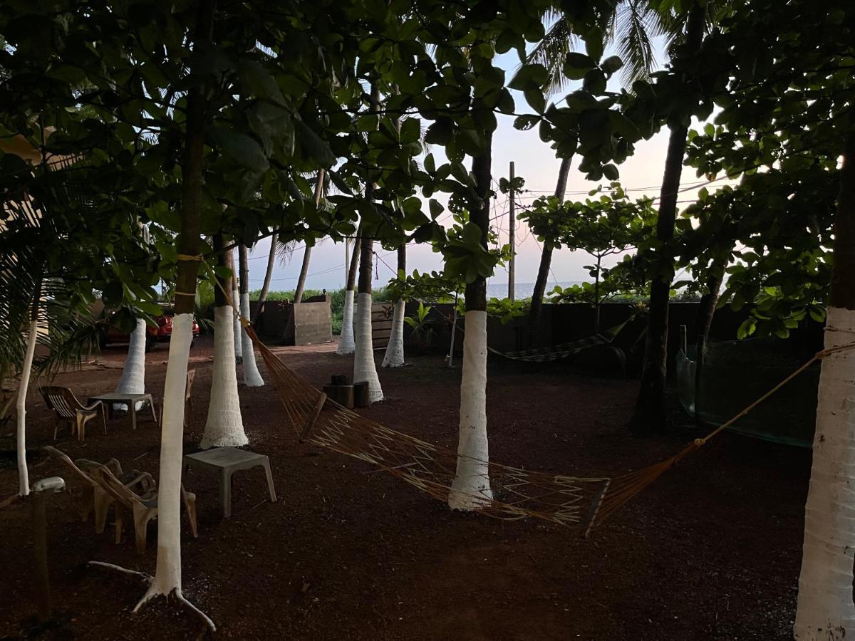 Kizhunna Rock Beach House 坎努尔 外观 照片